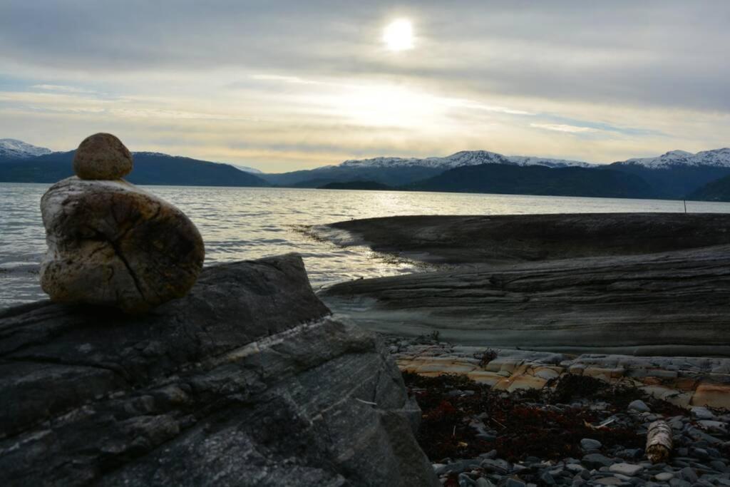 Treehut, Nature, Birds, Silence And Fjord Samlanes エクステリア 写真