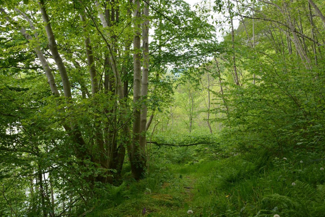 Treehut, Nature, Birds, Silence And Fjord Samlanes エクステリア 写真