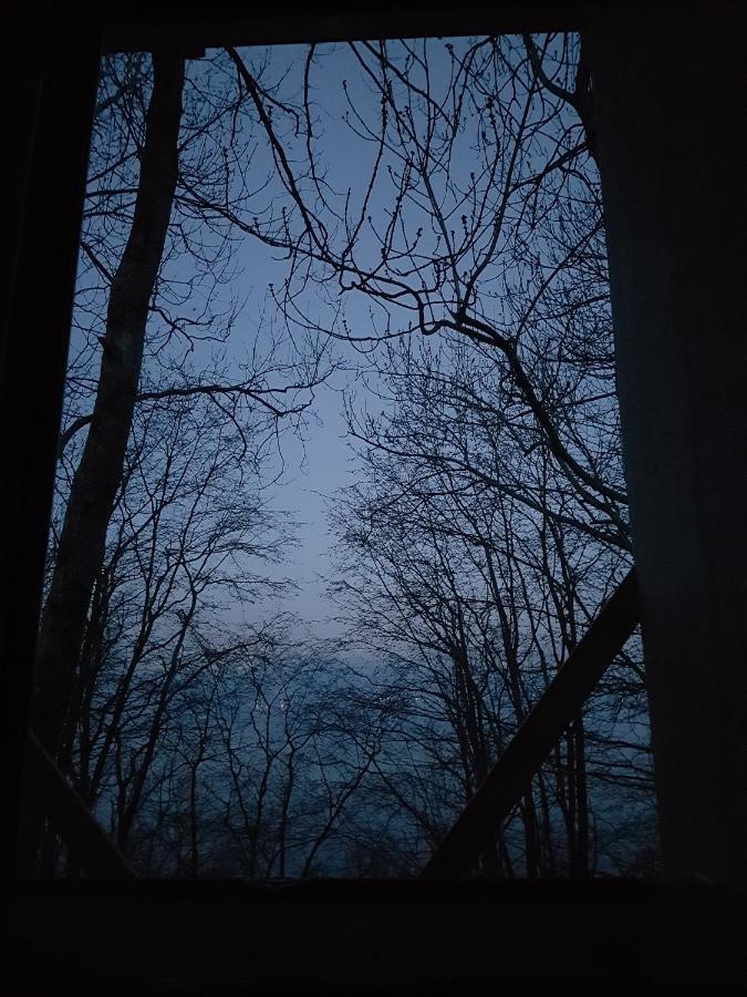 Treehut, Nature, Birds, Silence And Fjord Samlanes エクステリア 写真