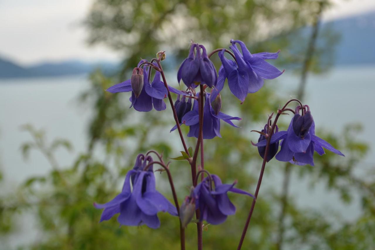 Treehut, Nature, Birds, Silence And Fjord Samlanes エクステリア 写真