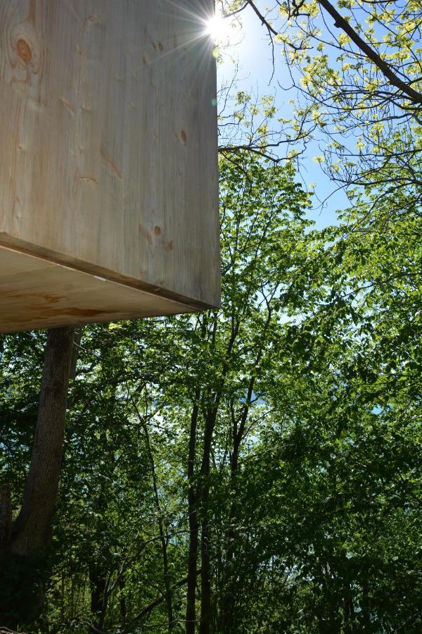 Treehut, Nature, Birds, Silence And Fjord Samlanes エクステリア 写真