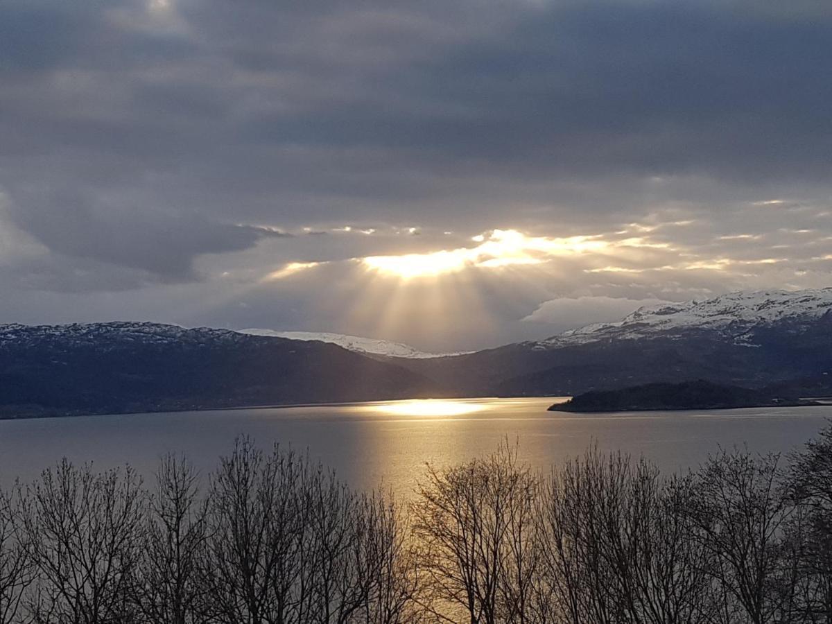 Treehut, Nature, Birds, Silence And Fjord Samlanes エクステリア 写真