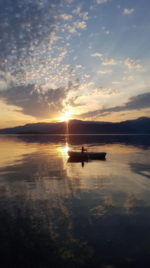 Treehut, Nature, Birds, Silence And Fjord Samlanes エクステリア 写真