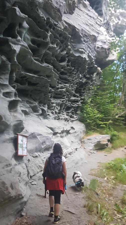 Treehut, Nature, Birds, Silence And Fjord Samlanes エクステリア 写真