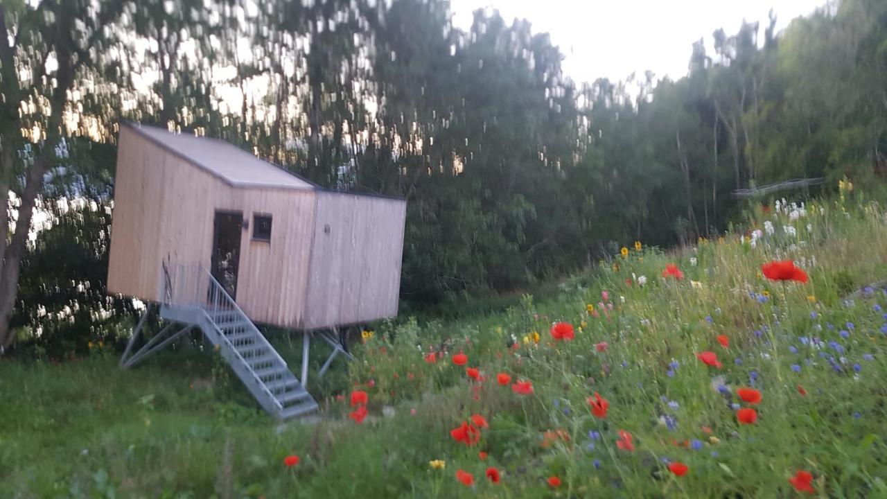 Treehut, Nature, Birds, Silence And Fjord Samlanes エクステリア 写真