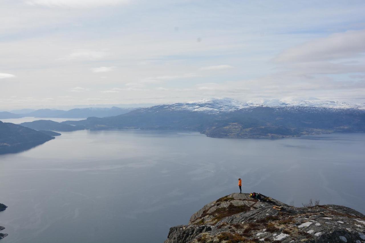 Treehut, Nature, Birds, Silence And Fjord Samlanes エクステリア 写真