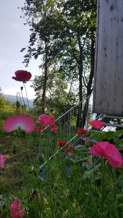 Treehut, Nature, Birds, Silence And Fjord Samlanes エクステリア 写真