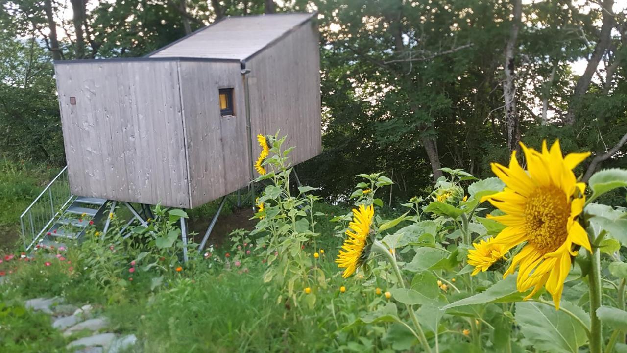 Treehut, Nature, Birds, Silence And Fjord Samlanes エクステリア 写真