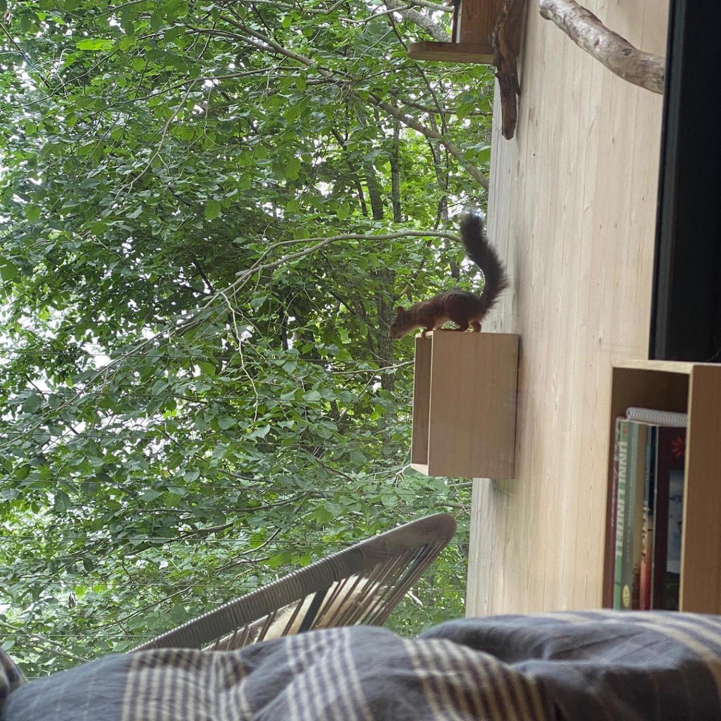 Treehut, Nature, Birds, Silence And Fjord Samlanes エクステリア 写真
