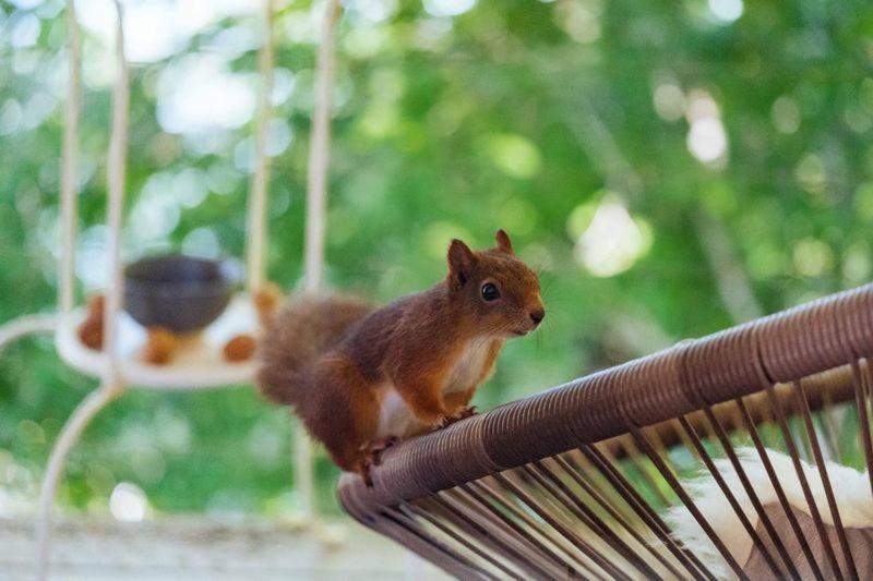 Treehut, Nature, Birds, Silence And Fjord Samlanes エクステリア 写真